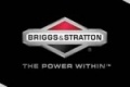 Briggs